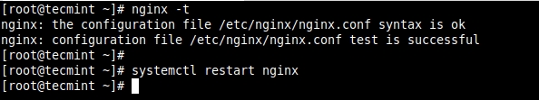 Check and Start Nginx Service